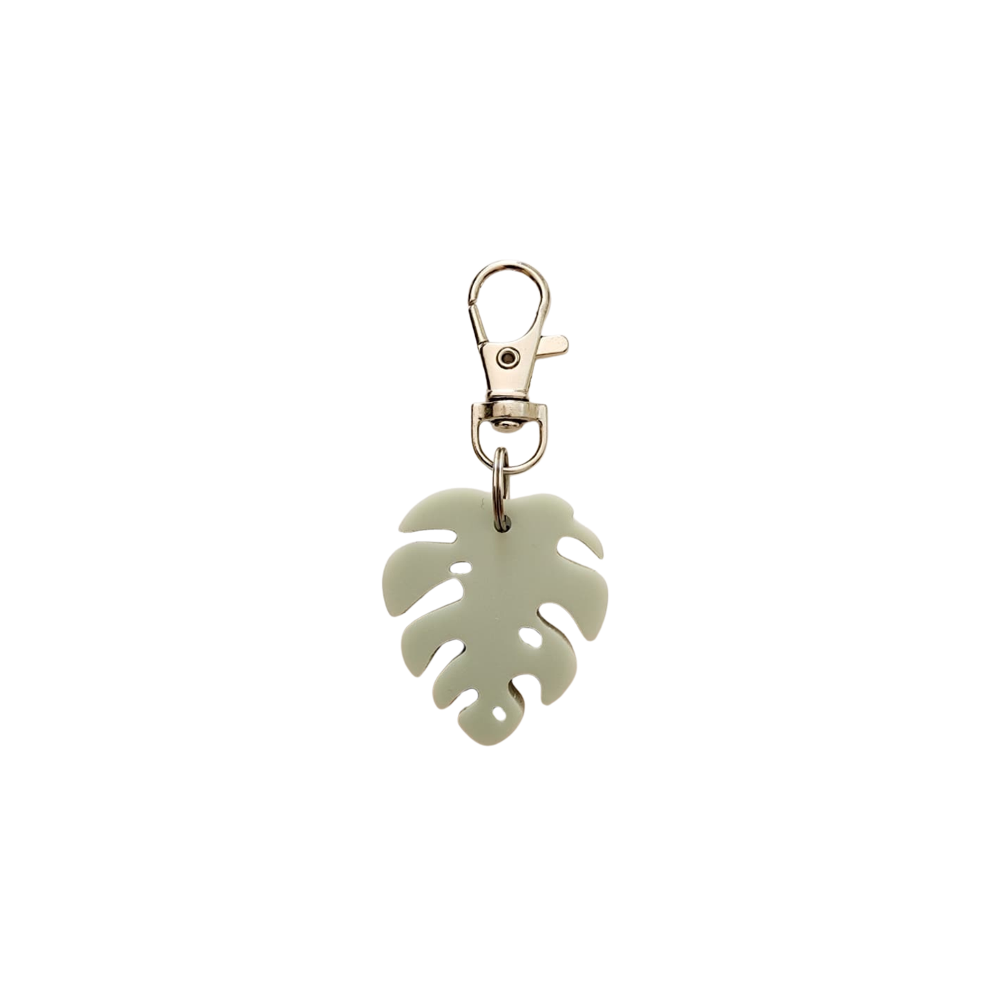 Placa ID Monstera Menta