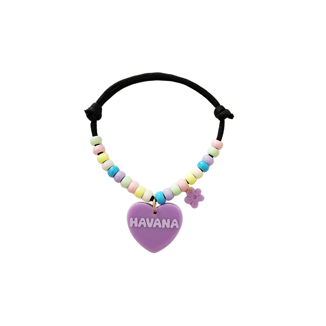 Collar + Placa ID Pawtone
